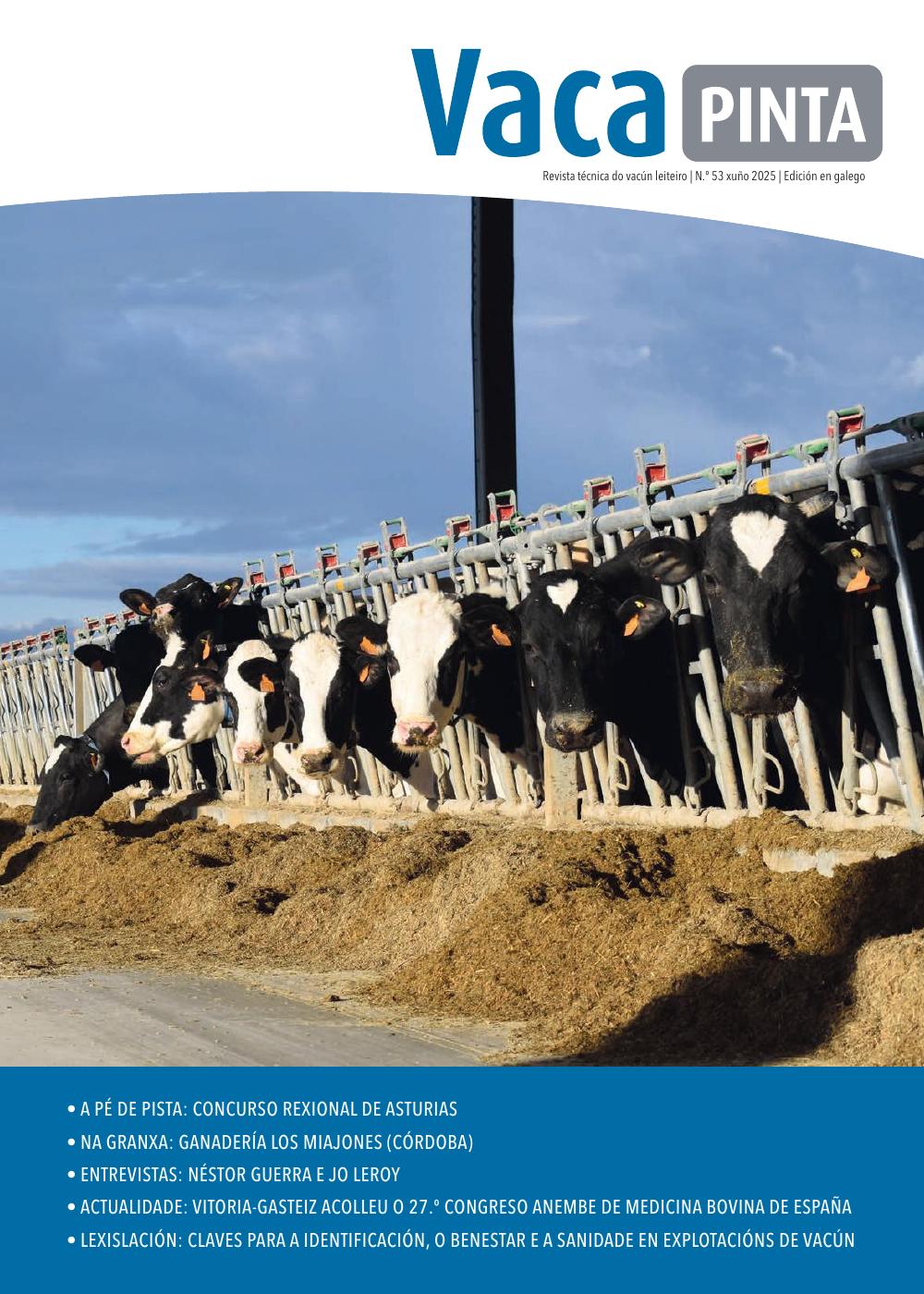 Vaca Pinta 53