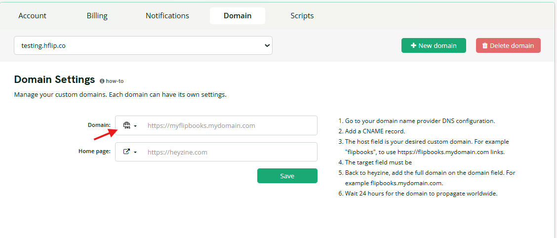 DNS Settings on the Domain page
